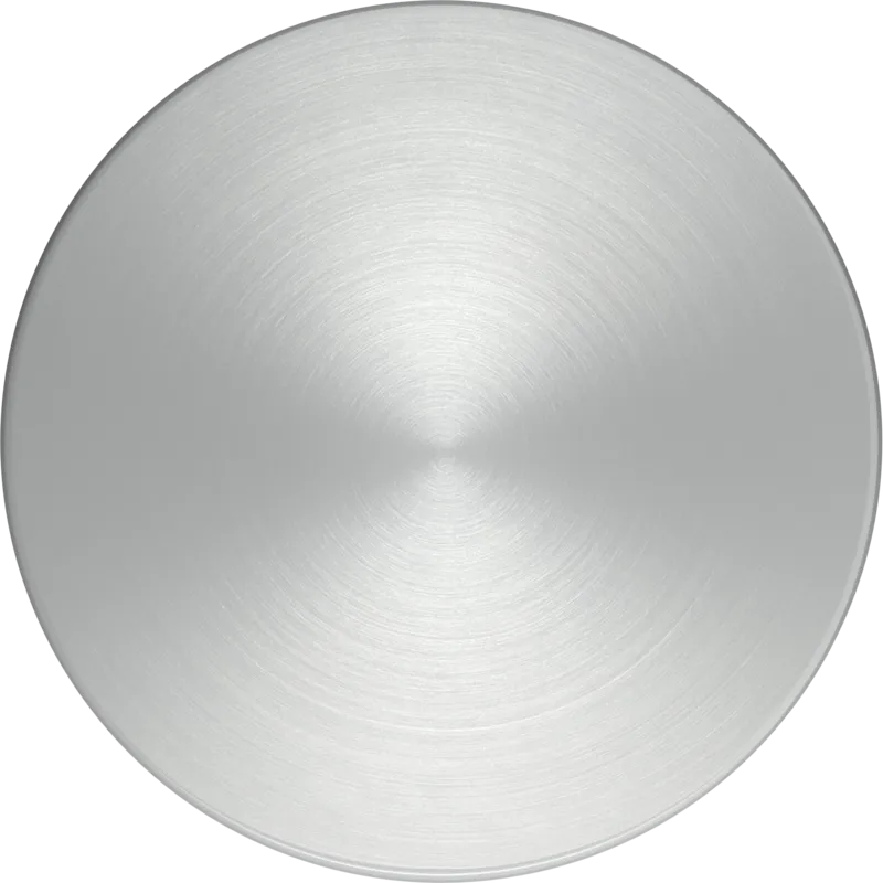 Buton magnetic Metallic silver Z9801TWS0, Neff