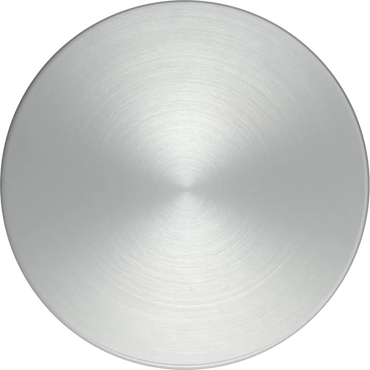 Buton magnetic Metallic silver Z9801TWS0, Neff