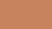 HPL Laminat ST9, Camel Nude, Egger